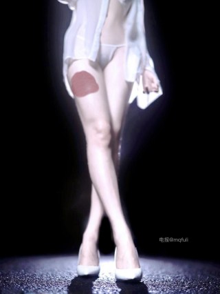 阿尔卑香小狗子 2025-01-25 02:26:06 VIP专享帖 女士白色唇玉写真