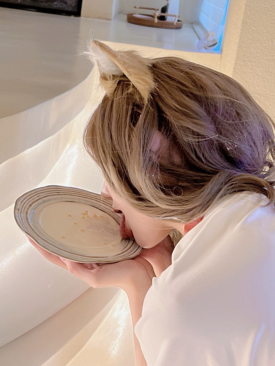 阿朱啊 2022-07-23 【嘉宾帖】乖狗狗舔酸奶 毛茸茸的大尾巴插件