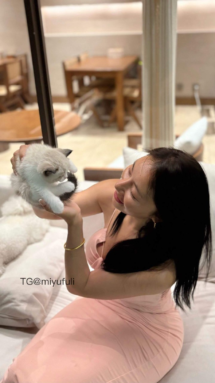 鹿瑶 2025-05-23 14:35:16 做我的猫