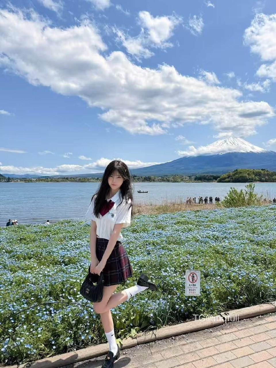 一只香 2025-05-30 01:29:48 我记得阳光明媚