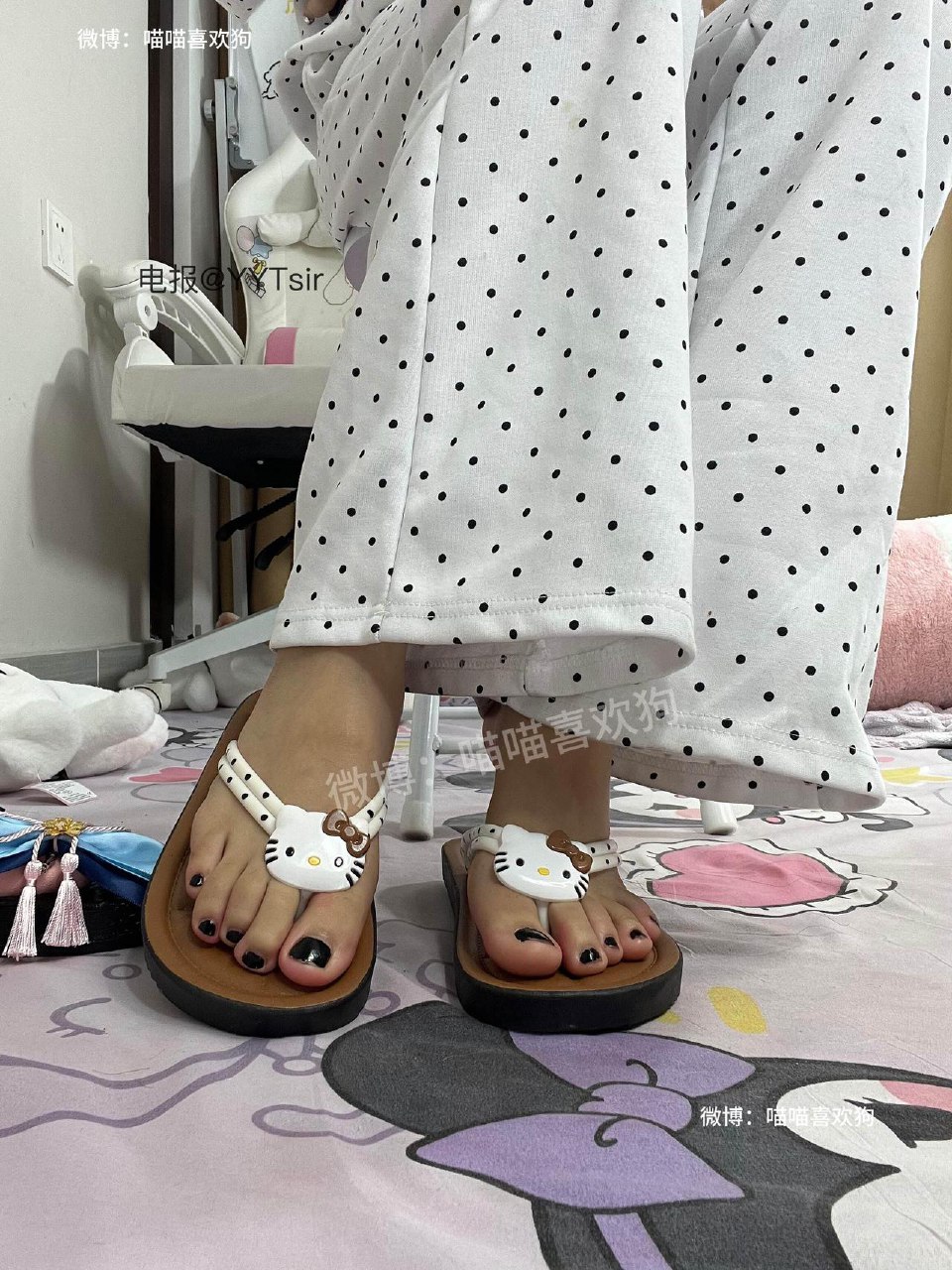 喵喵喜欢狗 2025-05-30 09:33:21 阿尔卑斯