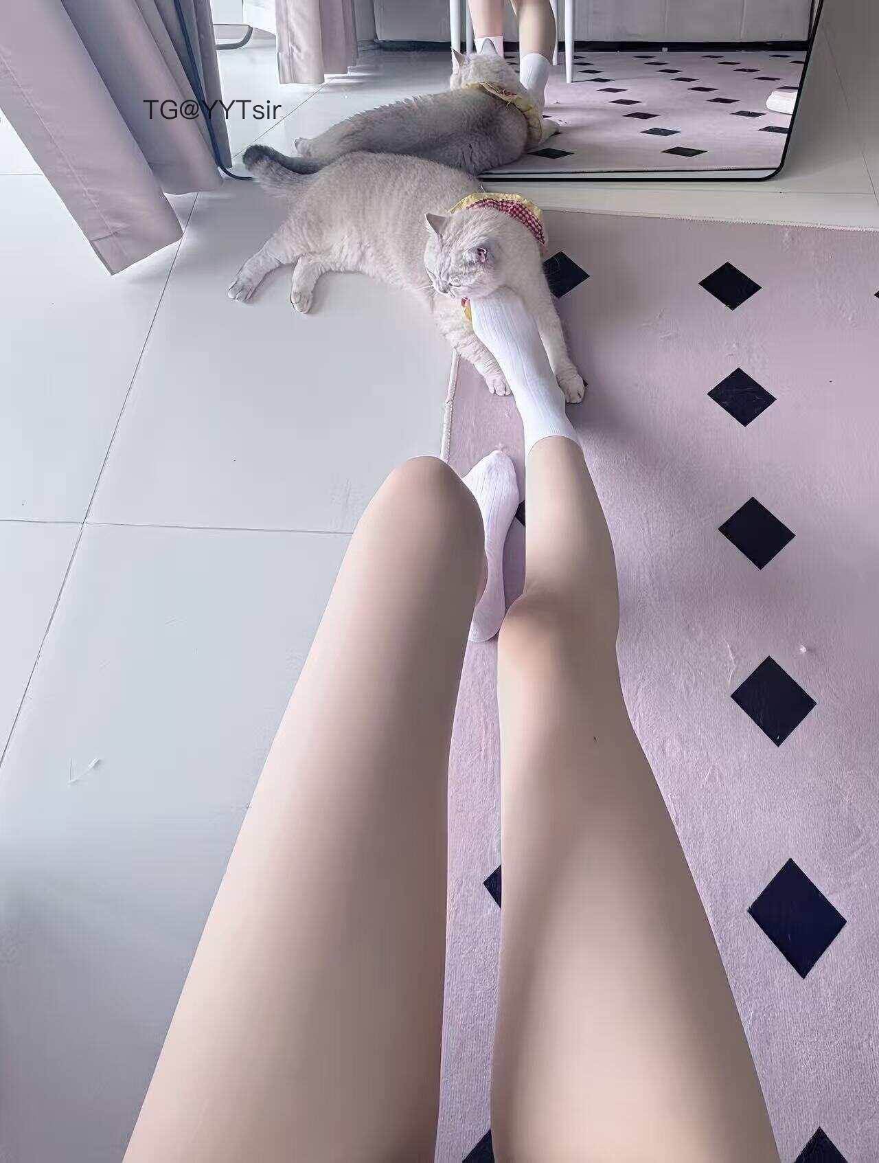 小霞佩奇 2025-05-28 07:10:22 认真给你们拍照片