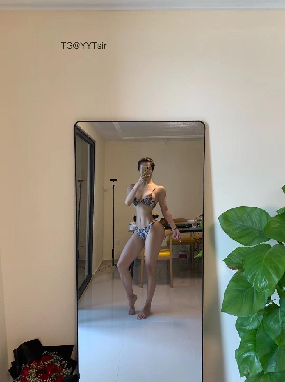 黑杜宾 2025-06-05 15:14:59 照片