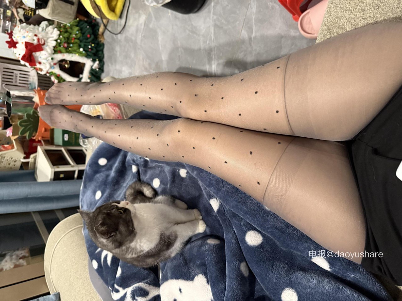 张有财 2025-06-12 00:00:35 腿控嘛 我控你哥哥😍