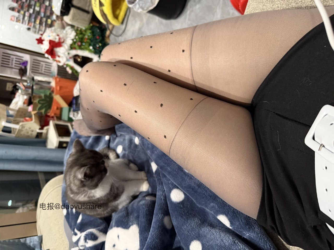 张有财 2025-06-12 00:00:35 腿控嘛 我控你哥哥😍