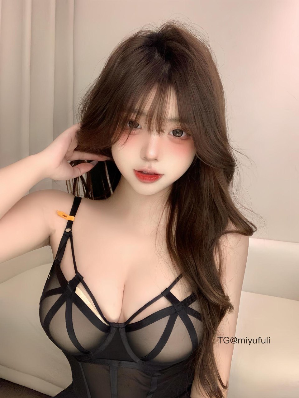 小猫困困 2025-06-21 16:27:45 困困欢迎所有新进岛的宝宝！