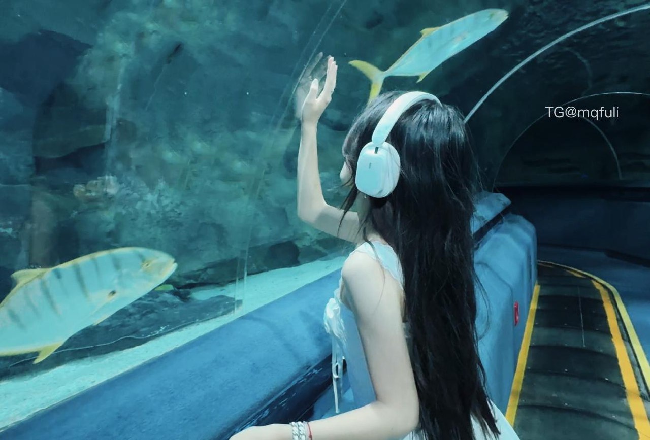 伊南Alicia 2025-06-09 17:54:56 约定