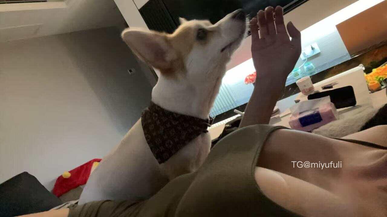 人间小奶猫 2025-07-22 01:33:28 被你看的脸都红了