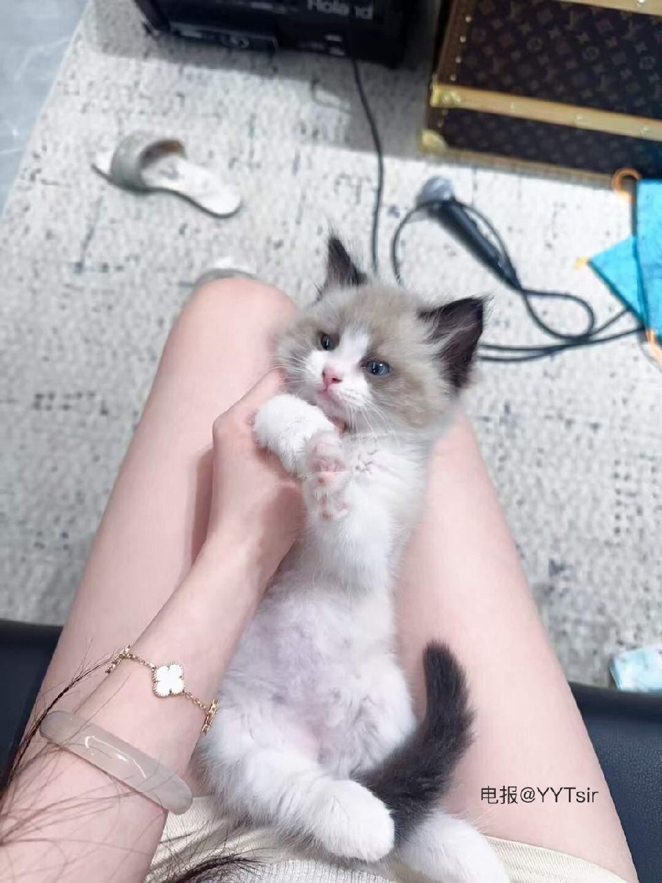 小m 2025-07-29 18:23:23 没什么看的，看腿吧