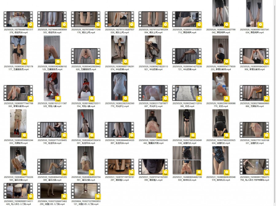 白龙猫女 截止2025-06-05前 视频43v+图片199p 压缩包