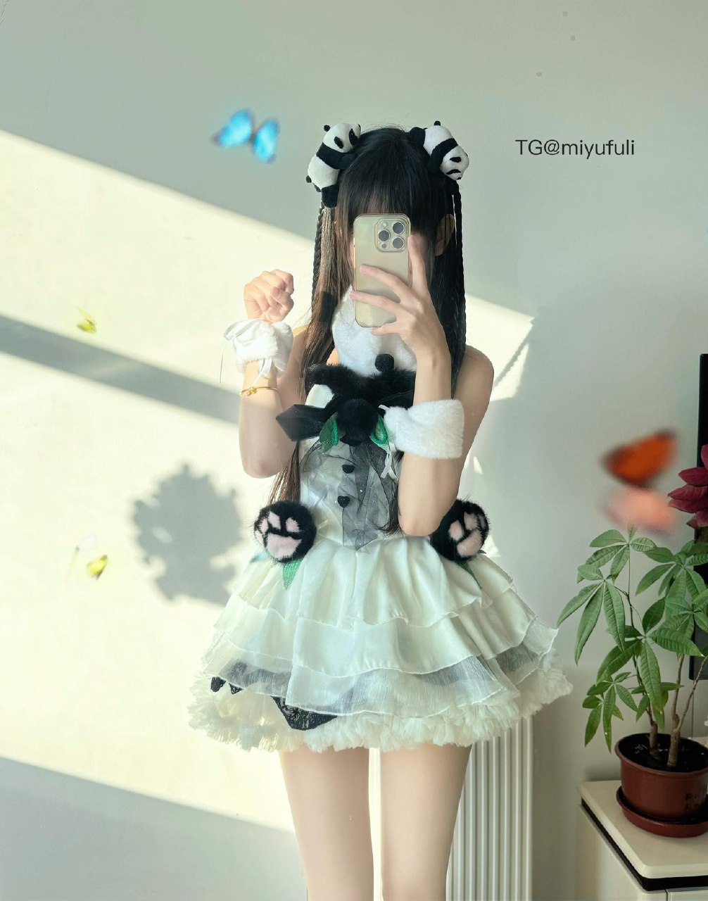 锦鲤 2025-08-08 16:41:29 小熊猫出没